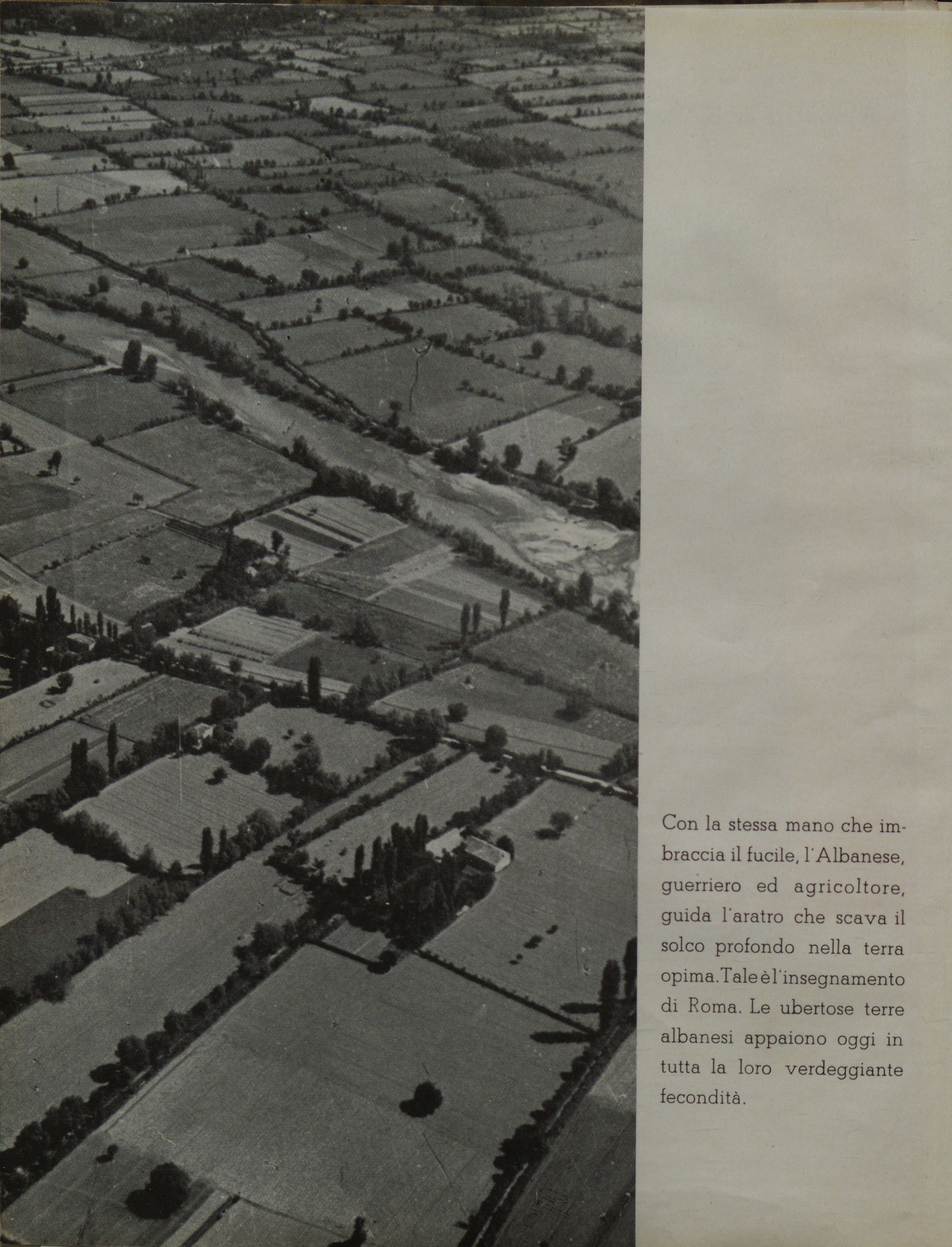 Area817_0004 - Copy.jpg